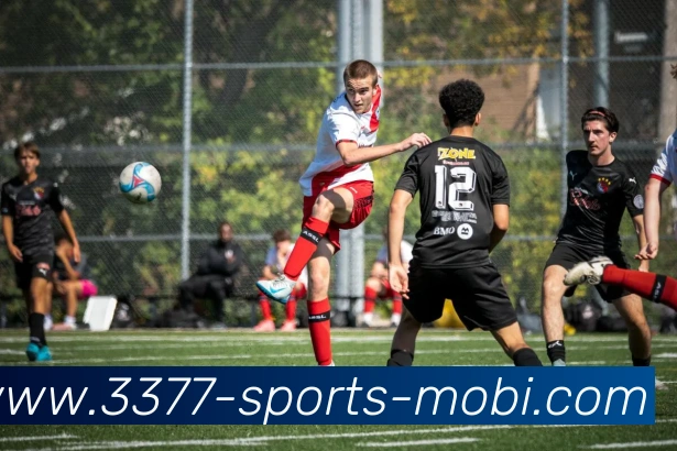 3377体育APP 封面图